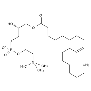 1-油酰-Sn-甘油-3-磷酸膽堿,1-Oleoyl-sn-glycero-3-phosphocholine