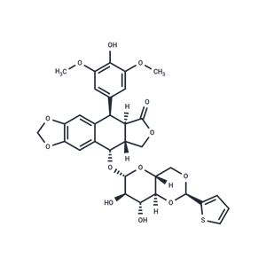 替尼泊苷,Teniposide