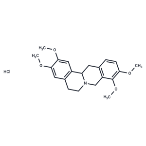 延胡索乙素,Tetrahydropalmatine