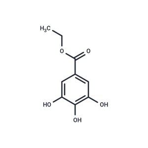 沒(méi)食子酸乙酯|T3729