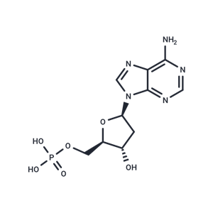 2′-脫氧腺苷-5′-單磷酸,2