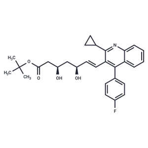 匹伐他汀叔丁酯,Tert-Buthyl Pitavastatin