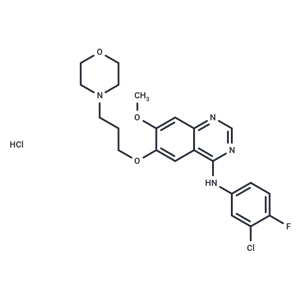 化合物 Gefitinib hydrochloride|T1181L|TargetMol