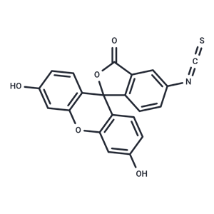 異硫氰酸熒光素酯|T15284