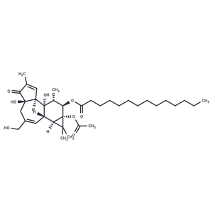 佛波醇12-十四酸酯13-乙酸酯,Phorbol 12-myristate 13-acetate