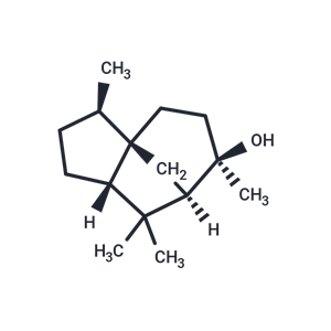 柏木腦|T5594