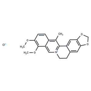 13-甲基小檗堿,13-Methylberberine chloride