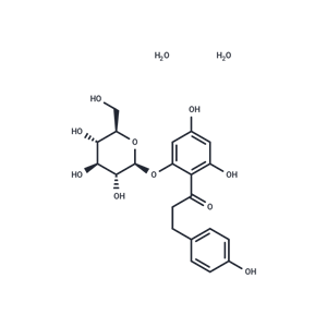 弗羅利辛二水合物,Phlorizin dihydrate