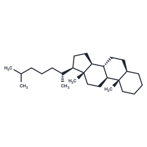 5α-膽甾烷,5α-Cholestane