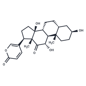 沙蟾毒精,Arenobufagin