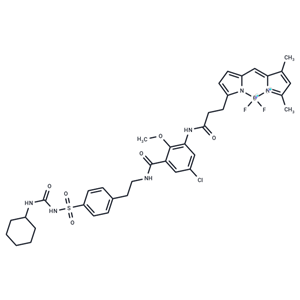 化合物 ER-Tracker Green,ER-Tracker Green