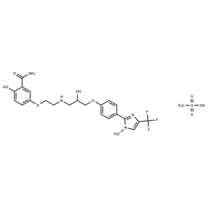 化合物 CGP 20712 A|T10778|TargetMol