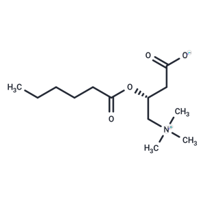 化合物 L-Hexanoylcarnitine,L-Hexanoylcarnitine