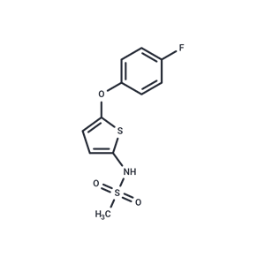 化合物 RWJ 63556|T12784|TargetMol