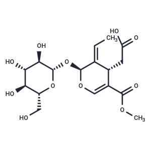 木樨欖苷-11-甲酯,Oleoside 11-methyl ester