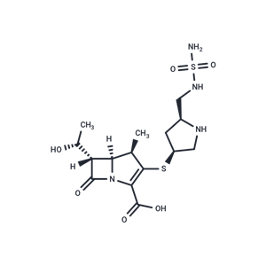 多尼培南,Doripenem