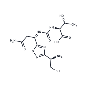 化合物 CA-170|T12378L|TargetMol