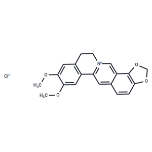 表小檗堿氯化物|T8306|TargetMol