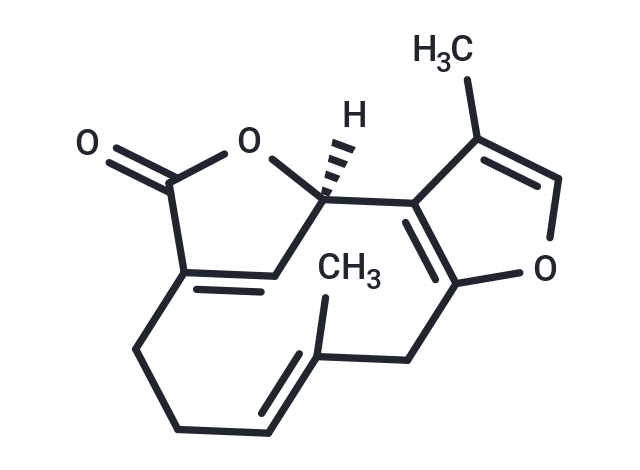 釣樟內(nèi)酯,Linderalactone