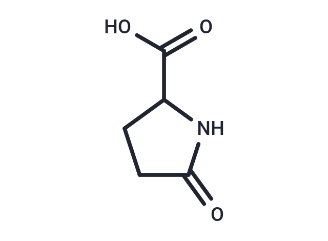 DL-焦谷氨酸,DL-Pyroglutamic acid