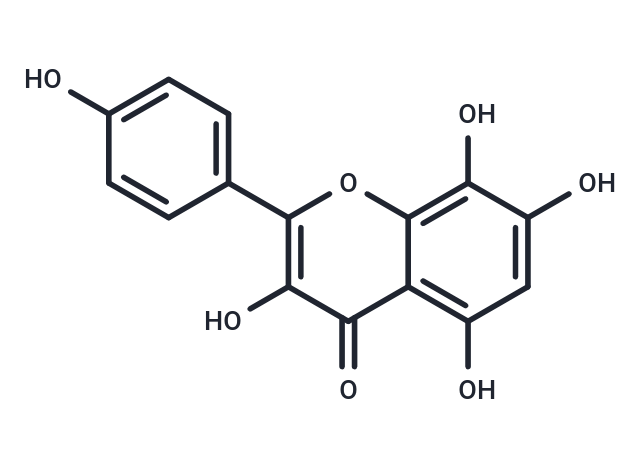 草質(zhì)素,Herbacetin