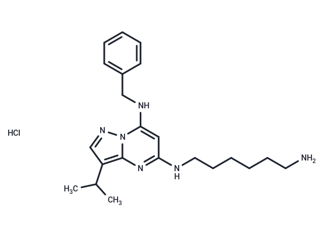 化合物 BS-181 HCl,BS-181 hydrochloride