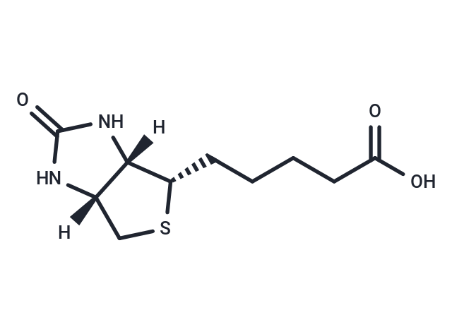 生物素,Biotin