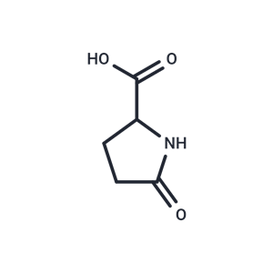 DL-焦谷氨酸,DL-Pyroglutamic acid