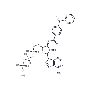 化合物BzATP triethylammonium salt|TP2226|TargetMol