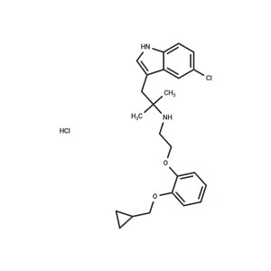 化合物 RS 17053 hydrochloride|T16798|TargetMol