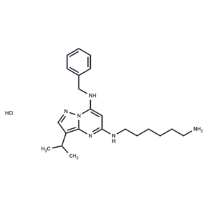 化合物 BS-181 HCl|T6162|TargetMol