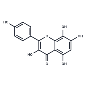 草質(zhì)素,Herbacetin