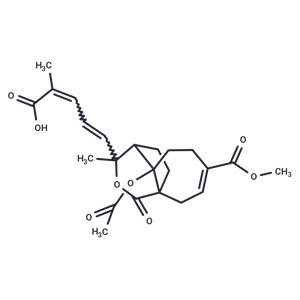 土荊皮乙酸,Pseudolaric Acid B