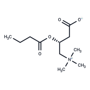 丁酰肉堿,Butyrylcarnitine