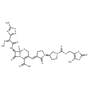 頭孢比普酯,Ceftobiprole medocaril