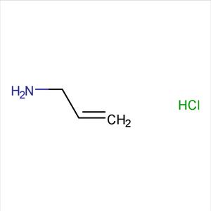 烯丙基胺盐酸盐