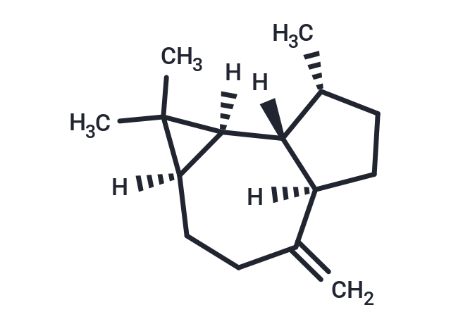 (+)-香橙烯,(+)-Aromadendrene