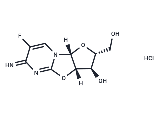 氟西他濱鹽酸鹽,Flurocitabine HCl