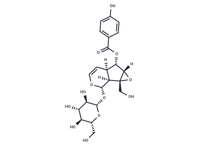 梓苷,Catalposide