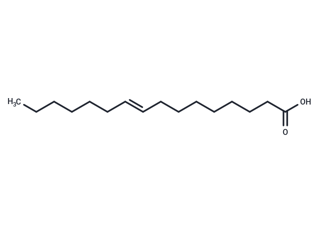 軟脂酸,Palmitelaidic Acid