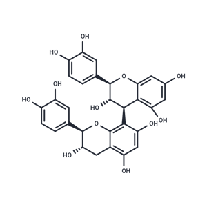 原花青素 B3,Procyanidin B3