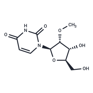 2'-甲氧基尿苷|TN7106|TargetMol