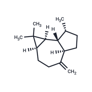 (+)-香橙烯,(+)-Aromadendrene