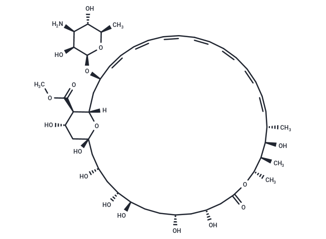 化合物 Amphotericin B methyl ester,Amphotericin B methyl ester