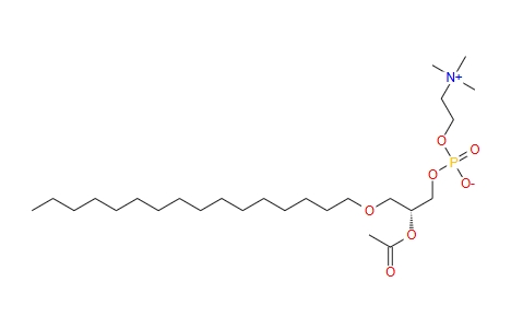 Β-乙?；?Γ-O-十六烷基-L-Α-卵磷脂,Platelet Activating Factor-16