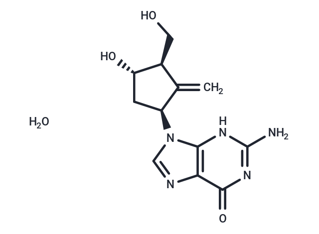 恩替卡韋 (1水合物),Entecavir monohydrate