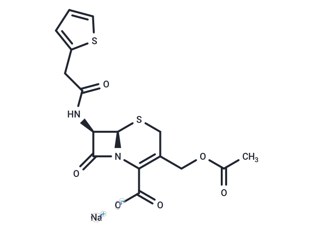 頭孢噻吩鈉,Cephalothin sodium