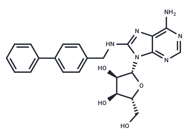 化合物 CNT2 抑制劑-1,CNT2 inhibitor-1