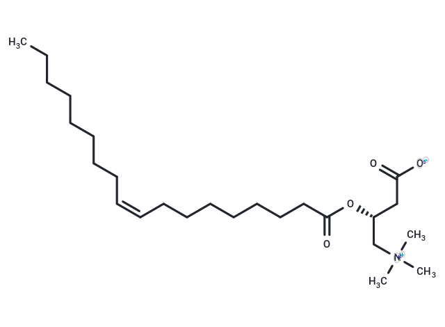 油?；鈮A,Oleoylcarnitine