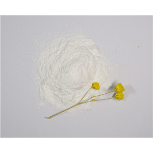 Biotin-PEG4-hydrazide,Biotin-PEG4-Hydrazide